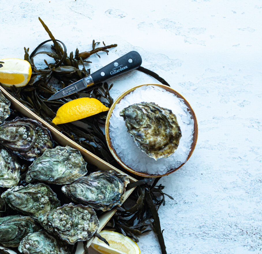 Spéciales Gillardeau nr 4 (12stk)